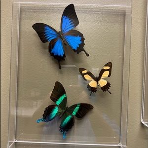 Meet your Posher, Cheryl